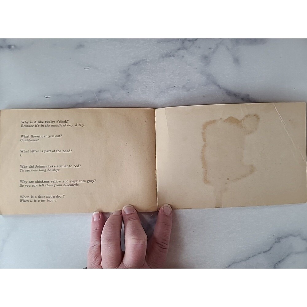 The Little Riddle Book - Picture 8 of 10